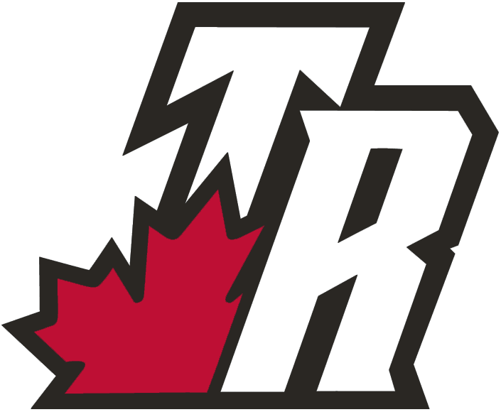 Toronto Raptors 2003-2008 Alternate Logo iron on transfers for clothing